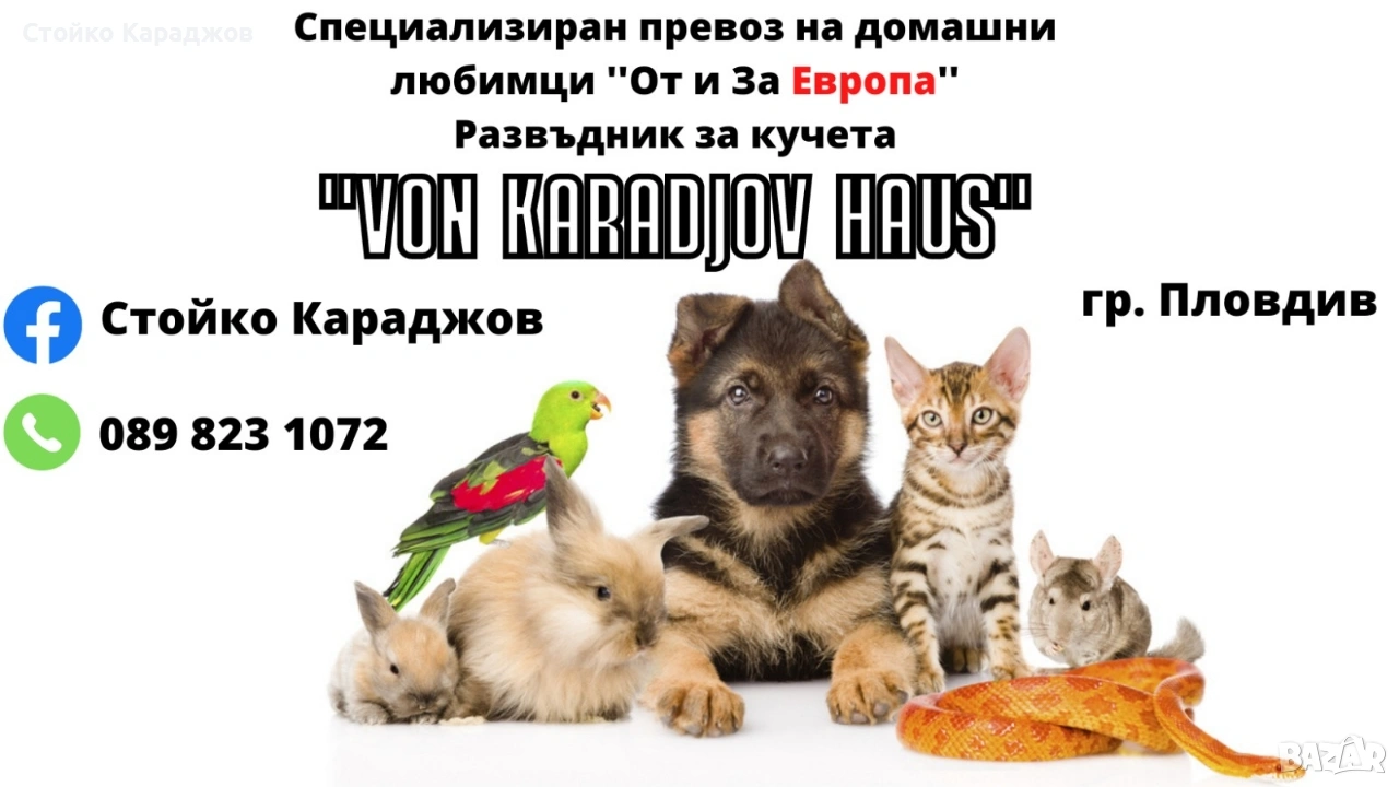 Транспорт на домашни любимци , снимка 1