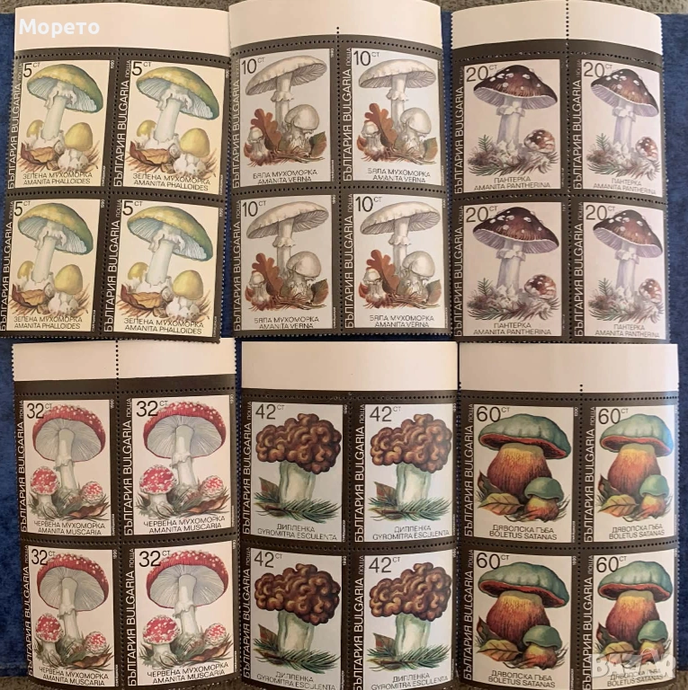 1991г-Отровни гъби, снимка 1
