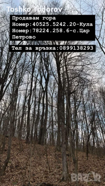 Гора, снимка 1