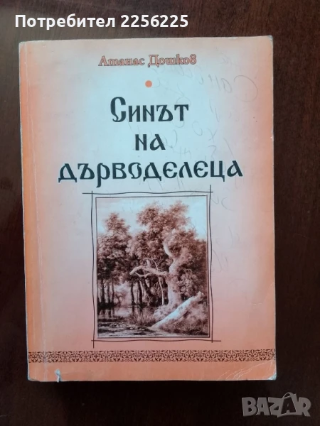 Синът на дърводелеца, снимка 1