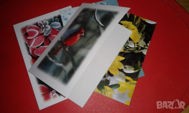 4 прекрасни двойни картички на тема "Зимна природа"с подходящи послания, снимка 2 - Колекции - 52380809