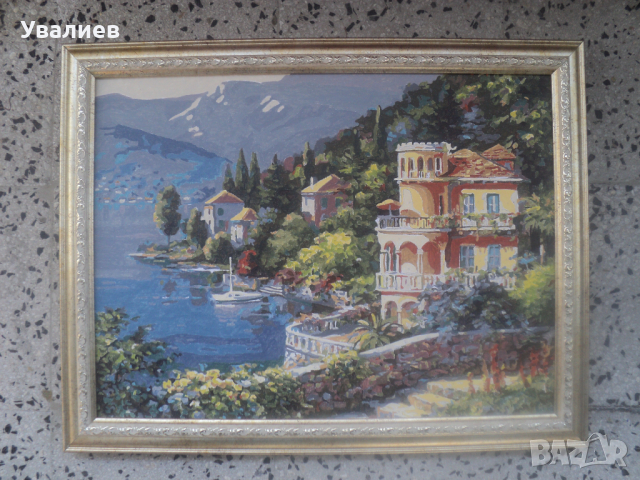 Картини, снимка 11 - Картини - 21197653