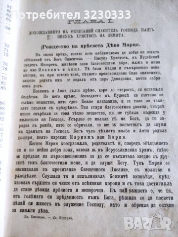 "Св. история"И Р.Блъсков 1895г.+Ботаника, снимка 12 - Антикварни и старинни предмети - 40739785