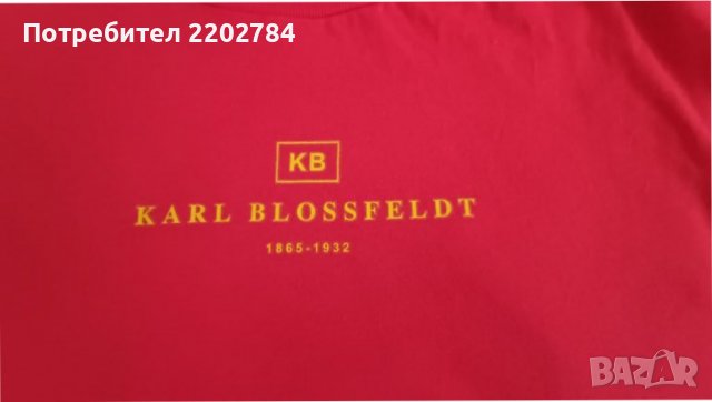 Karl Blossfeldt,тениска, снимка 7 - Тениски - 39283361