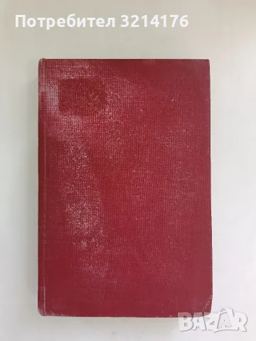 Имало едно мече - Георги Райчев (1970), снимка 3 - Детски книжки - 56326223