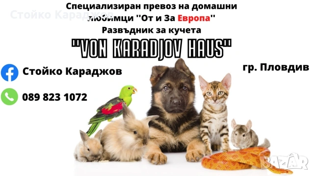 Транспорт на домашни любимци 