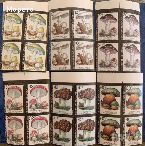 1991г-Отровни гъби