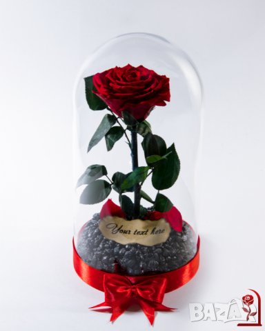 Вечна Роза в ГОЛЯМА стъкленица / Уникален Подарък за Жена / Естествена Вечна роза Подарък за Момиче, снимка 10 - Други - 34470627