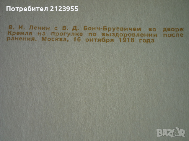 Вл. Илич-ЛЕНИН-Картички 20бр., снимка 11 - Колекции - 36192238