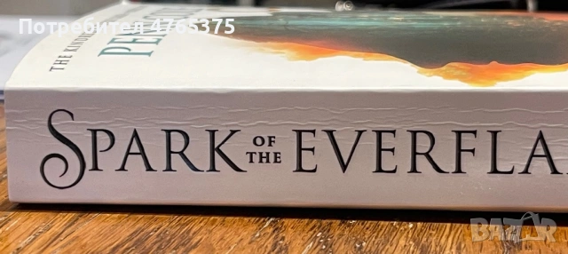 SPARK OF THE EVERFLAME, снимка 2 - Други - 53839048