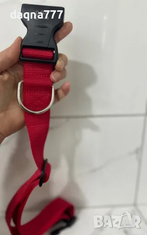 Немски нов нашийник средни и едри породи, снимка 4 - За кучета - 49462057