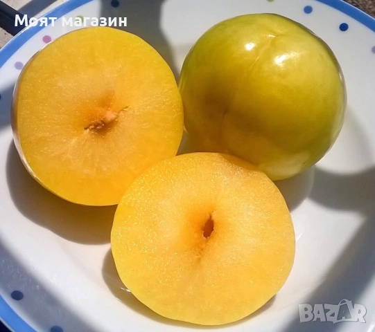 Слива - Ту сун , снимка 2 - Градински цветя и растения - 53626843