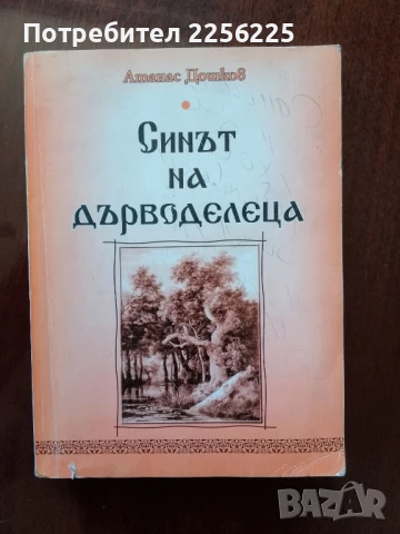 Синът на дърводелеца