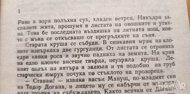 Мъртво вълнение - Ивайло Петров, снимка 2 - Българска литература - 51057068