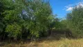 Имот в зона за жилищно застрояване село Огняново, снимка 6