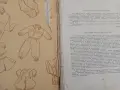 Книга,,Ръчно плетиво", снимка 2