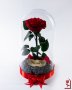 Вечна Роза в ГОЛЯМА стъкленица / Уникален Подарък за Жена / Естествена Вечна роза Подарък за Момиче, снимка 10
