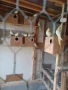Продавам папагали, снимка 3