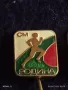 Четири броя спортни значки от соца СМ РОДИНА МЛАДЕЖКИ КРОС за КОЛЕКЦИЯ ДЕКОРАЦИЯ 26598, снимка 5