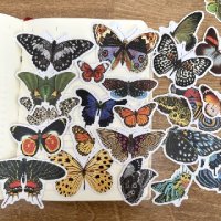 30 бр Пеперуди пеперуда микс самозалепващи лепенки стикери за украса декор картонена торта ръчна изр, снимка 4 - Други - 41717511