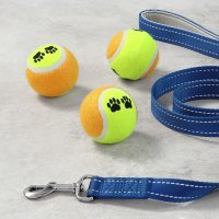 Комплект Тенис топка за куче Amazon Basics TB-12 12 броя Pet Tennis Ball играчка за домашен любимец, снимка 1 - За кучета - 40788675