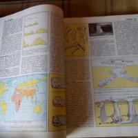 Горная енциклопедия том 1 и том 2, снимка 7 - Специализирана литература - 42221449