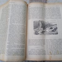 Списание "Природа",Първи брой,1893г., снимка 6 - Антикварни и старинни предмети - 35869889