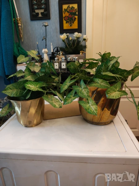 Лот страхотни месингови кашпи, снимка 1