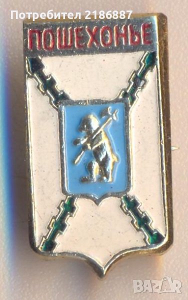 Значок Герб Пошехонье (Ярославская область, Россия), снимка 1