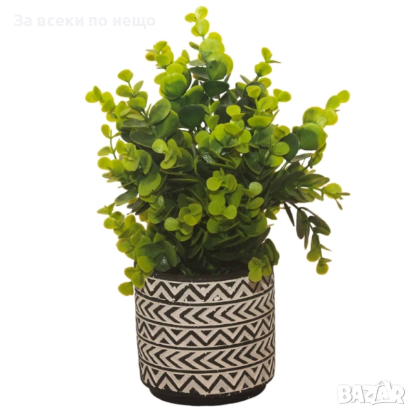 Декоративно растение в кашпа, 26 см Код P1401, снимка 1