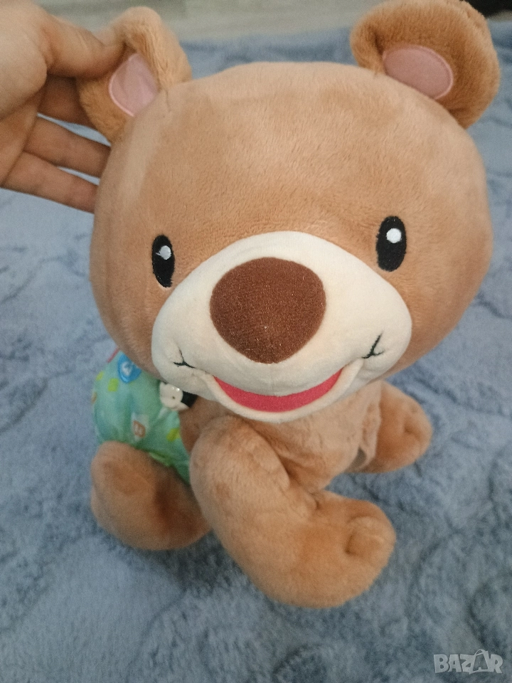 Пълзящо мече -работи музиката , снимка 1