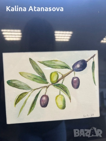 Ръчно рисувана акварелна картина – Маслини, снимка 2 - Картини - 53190449