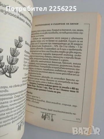 Разпознаване и събиране на билки, снимка 5 - Специализирана литература - 56343986