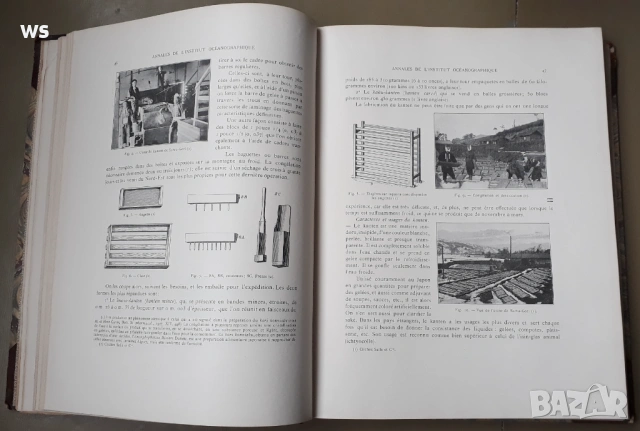 Антикварна книга - Океанография, снимка 7 - Колекции - 48922554