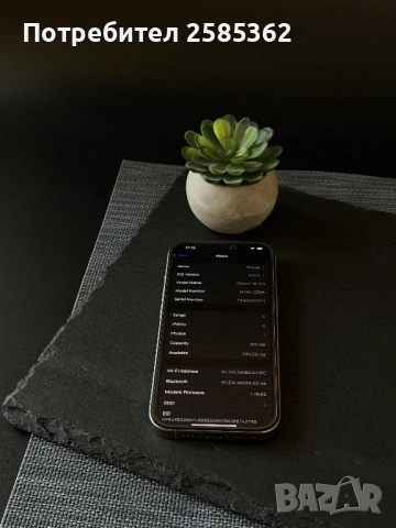 iPhone 16 Pro 256GB Natural Titanium / 91% Батерия / Перфектен, снимка 2 - Apple iPhone - 53758281