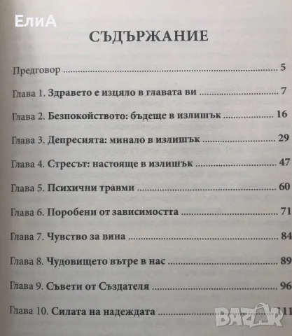 Силата На Надеждата - Преодоляване На Депресията, Безпокойството, Вината  И Стреса - Мелгоса\Борхес, снимка 2 - Специализирана литература - 49696028