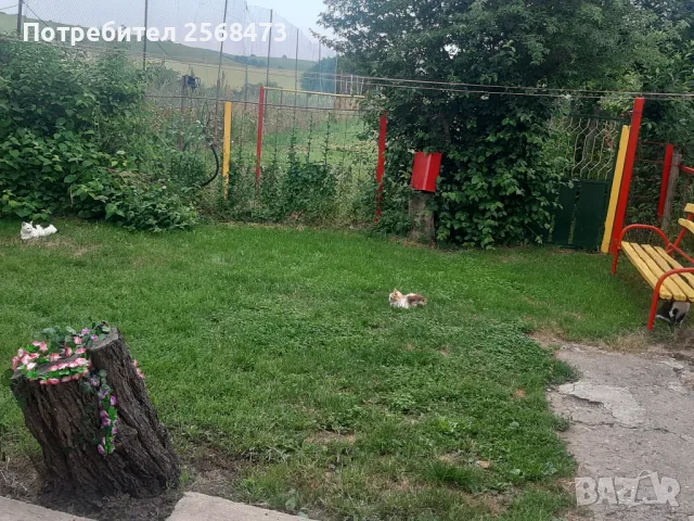 Продавам къща с голям двор на 10 мин. от Добрич, в близост до с.Дончево, снимка 4 - Къщи - 49516329