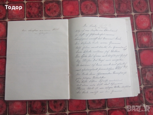 Стар немски дневник лексикон от 1912 до 1924, снимка 4 - Колекции - 36100244