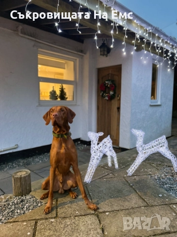 1️⃣2️⃣метра ➖️2️⃣5️⃣ Метра Висящи Коледни Лампи ТИП Завеса Екстериор/ Интериор , снимка 6 - Декорация за дома - 52539224