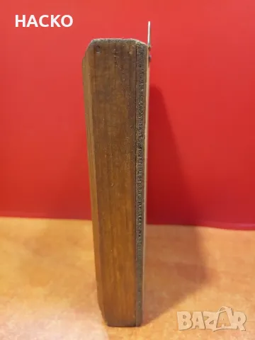 ЛЯТНА ЦЕНА Препариран ЧЕРН СКОРПИОН, снимка 5 - Други - 48124888