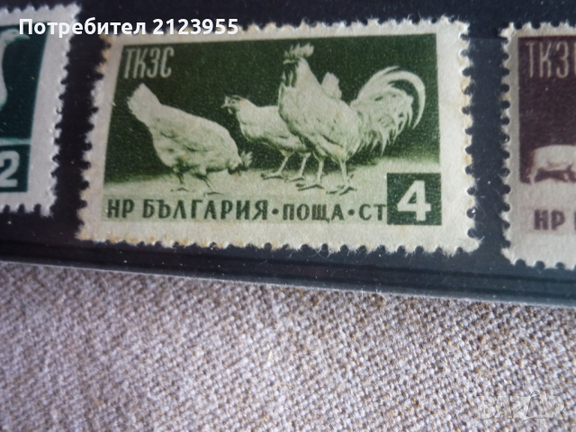 Пощенски марки, снимка 5 - Филателия - 36338689