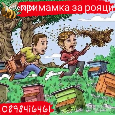 ПРО РОЙ Примамка за рояци ПРОМО ПАКЕТИ ЗА КОЛИЧЕСТВА, снимка 1 - За пчели - 40397906