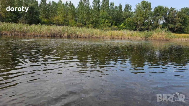 Язовир рибарник, снимка 7 - Земеделска земя - 53711235