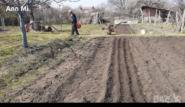  Имот!Продавам 2 къщи с 2 дка двор, снимка 3 - Вили - 50347738