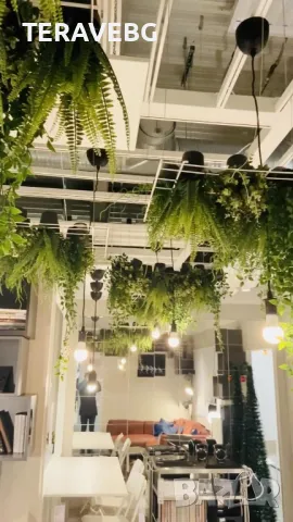 Висящи изкуствени растения , снимка 4 - Изкуствени цветя - 48670825