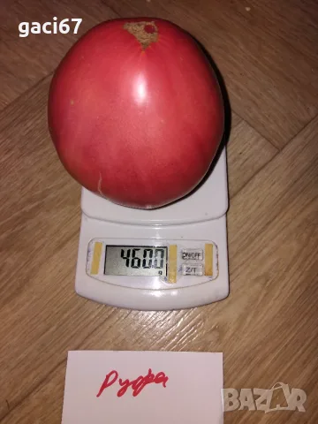 Семена домати 2, снимка 7 - Сортови семена и луковици - 55722619