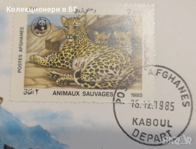 ВЪЗПОМЕНАТЕЛНА МОНЕТА В НУМИЗМАТИЧЕН ПЛИК (NUMISBRIEF) АФГАНИСТАН , снимка 4 - Нумизматика и бонистика - 53568486