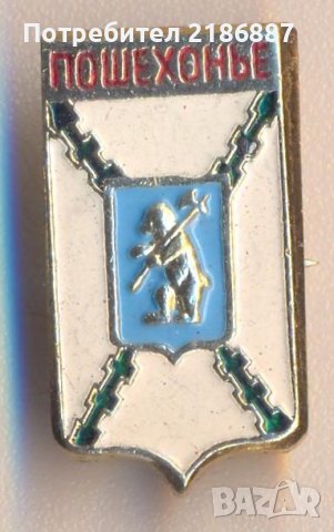 Значок Герб Пошехонье (Ярославская область, Россия), снимка 1