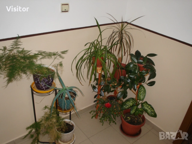 Sony Cybershot DSC P-43 , снимка 18 - Фотоапарати - 52484574