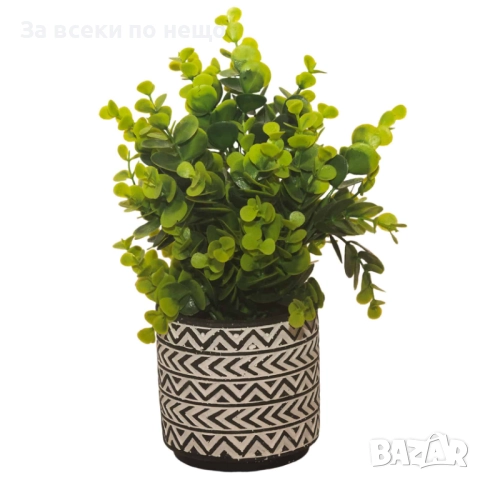 Декоративно растение в кашпа, 26 см Код P1401